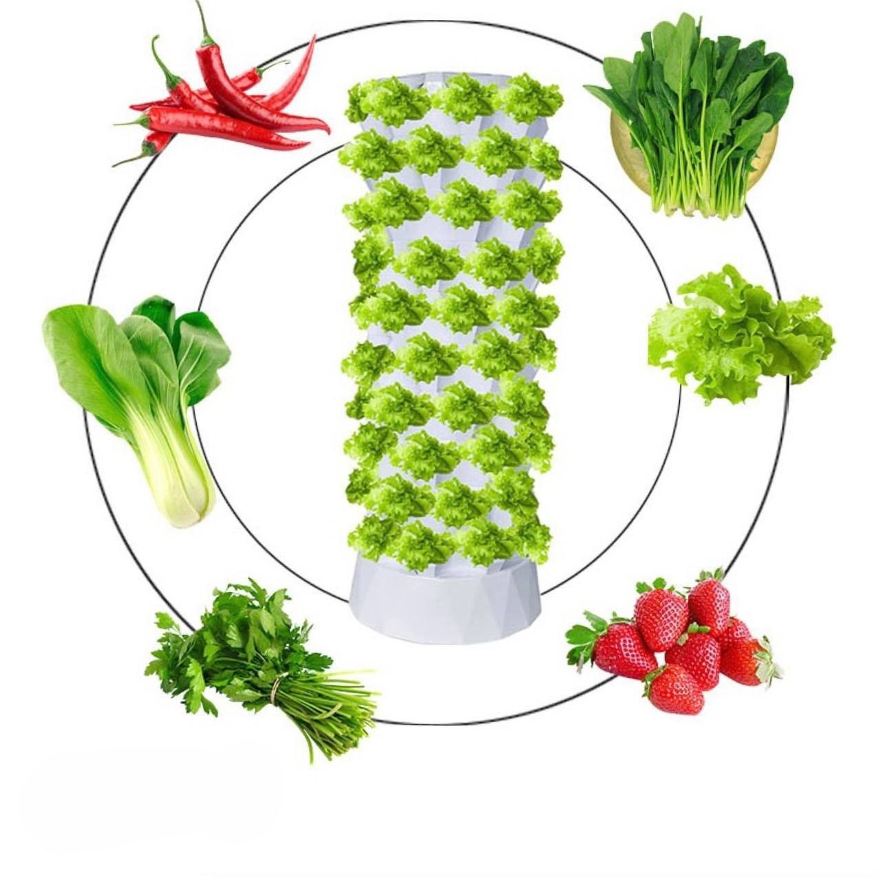 برج کشت عمودی آیروپونیک 15 طبقه 120 گلدان 6 برج کشت عمودی آیروپونیک 15 طبقه 120 گلدان - IMAGE 6