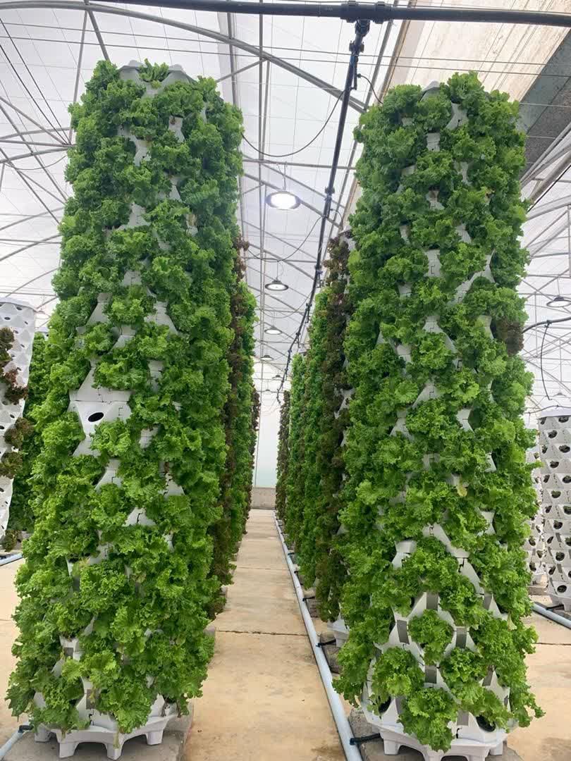 برج کشت عمودی آیروپونیک 15 طبقه 120 گلدان 8 برج کشت عمودی آیروپونیک 15 طبقه 120 گلدان - IMAGE 8