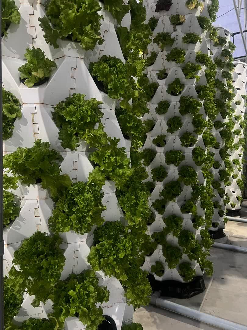 برج کشت عمودی آیروپونیک 15 طبقه 120 گلدان 3 برج کشت عمودی آیروپونیک 15 طبقه 120 گلدان - IMAGE 3